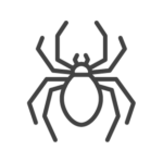 Spider exterminators in Alabama and Southern Tennessee by Spray's Termite & Pest Control